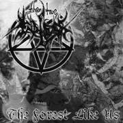 The True Endless : The Forest Like Us - On the Path in the Night